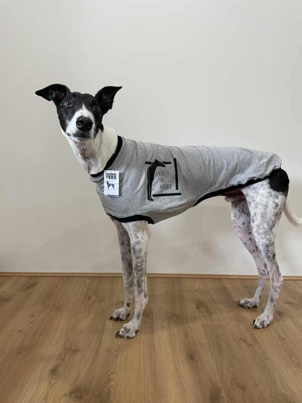 FTH HoundTee - Image 2
