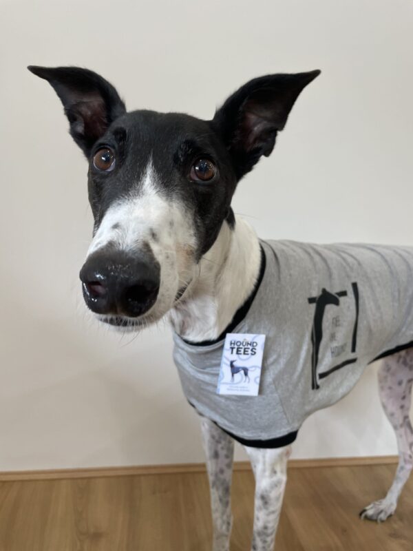 FTH HoundTee - Image 3