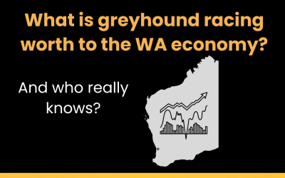 Economic misinformation fuels the WA Greyhound Industry