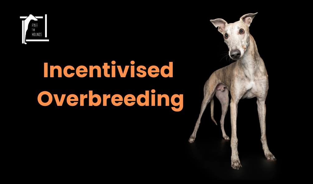 Incentivised Breeding