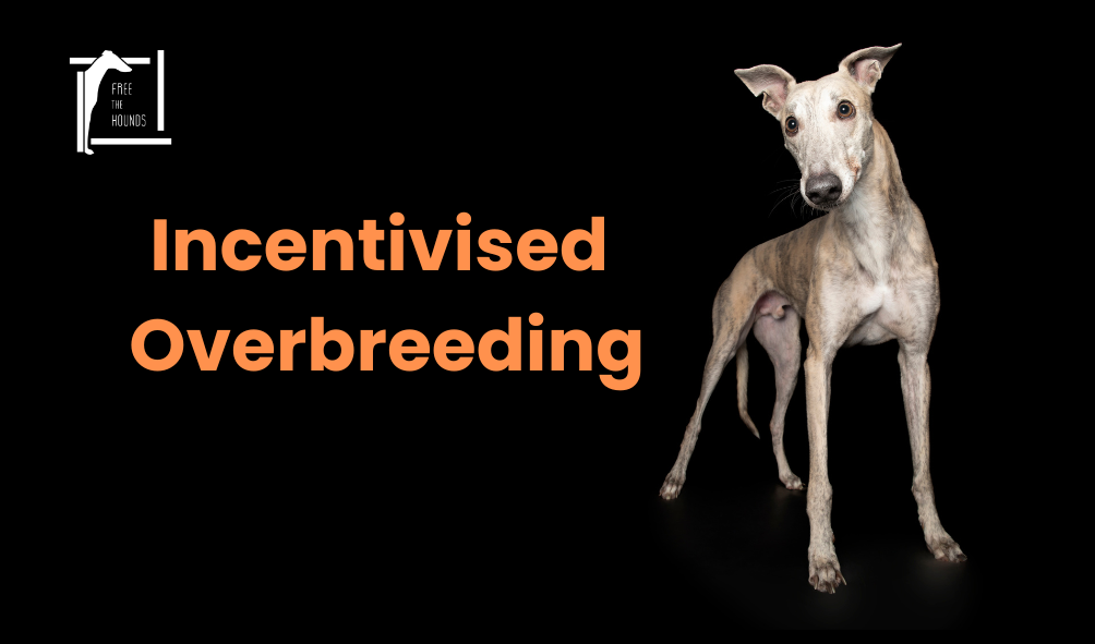 Incentivised Overbreeding