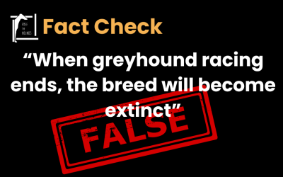 Mythbuster: When greyhound racing ends, will the breed become extinct?