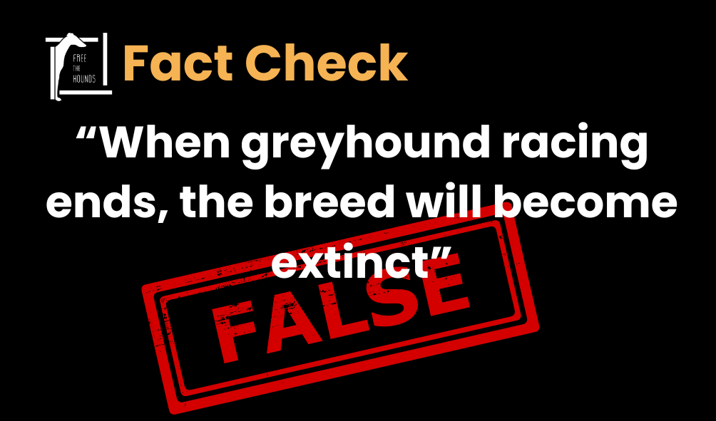 Mythbuster: When greyhound racing ends, will the breed become extinct?