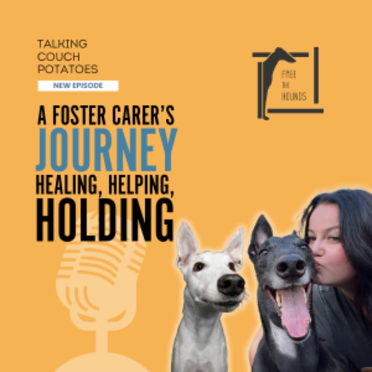 EP43: A Foster Carer’s Journey: Healing, Helping, Holding