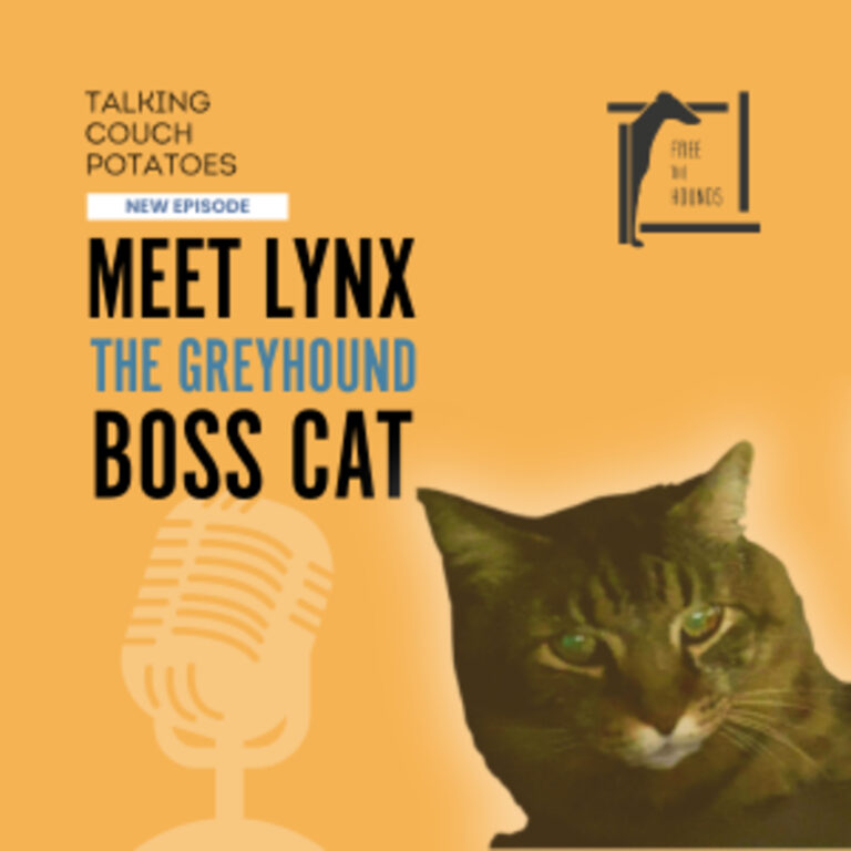 EP63: Meet Lynx: The Greyhound Cat Boss