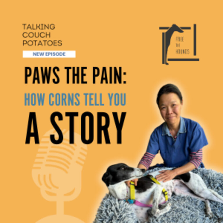 Paws The Pain: How Corns Tell You A Story